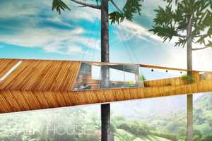 Cantilevered Treetop Houses