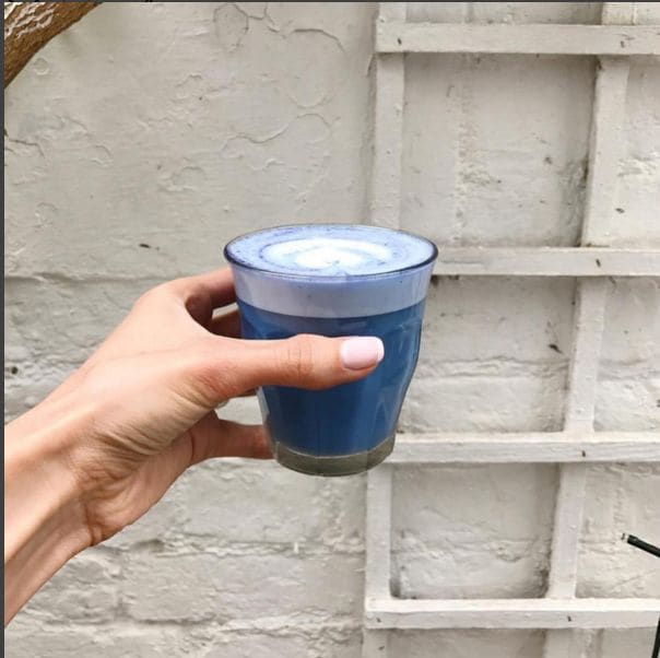 Blue Matcha Lattes