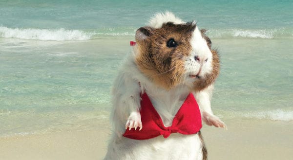 15 Satirical Marketing Campaigns