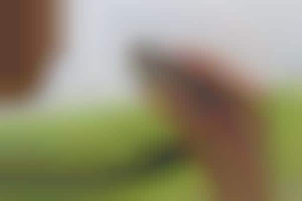 Connected Asthma Treatment Devices