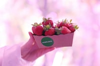 Container-Grown Strawberries Image 2