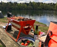 App-Enabled Smart Grills Image 3
