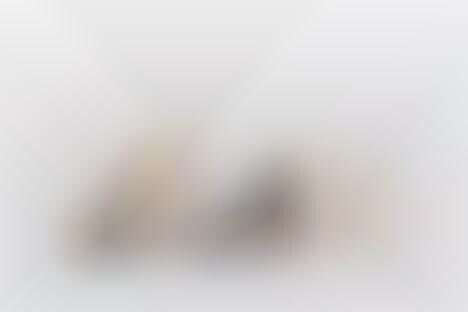 cat friendly bookshelf