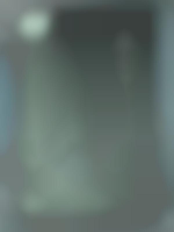 Secure Smart Mirrors