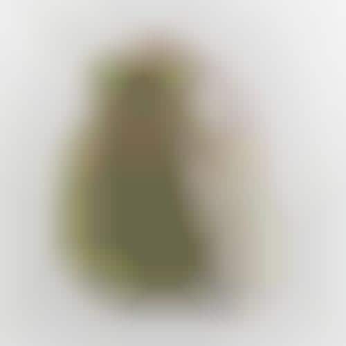 Fruit-Ripening Sleeves