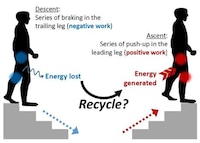 Energy-Recycling Stairs Image 3