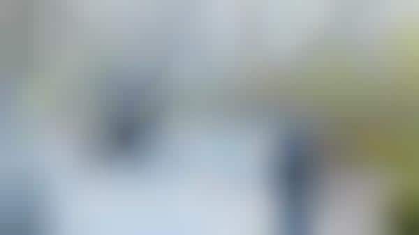 Multi-Seasonal Covered Gardens