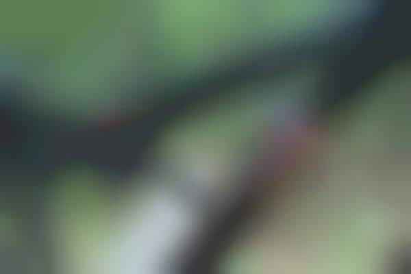 Laser-Engraved Bicycle Toolkits