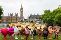 Record-Breaking Emoji Events Image 2