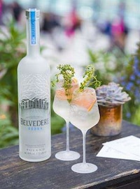 Weekly Summer Cocktail Sessions Image 5