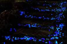Glowing Garden Pebbles