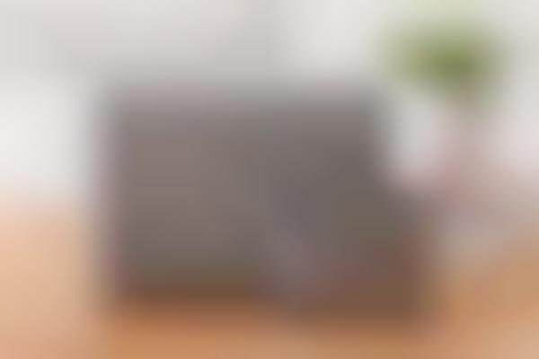 Amp-Inspired Bluetooth Speakers