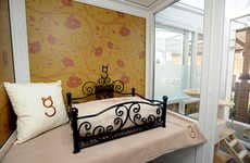 Boutique Cat Hotels