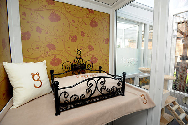 Boutique Cat Hotels