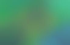 Interactive Zoo Apps