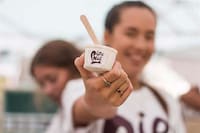 Snack-Sampling Picnics Image 7
