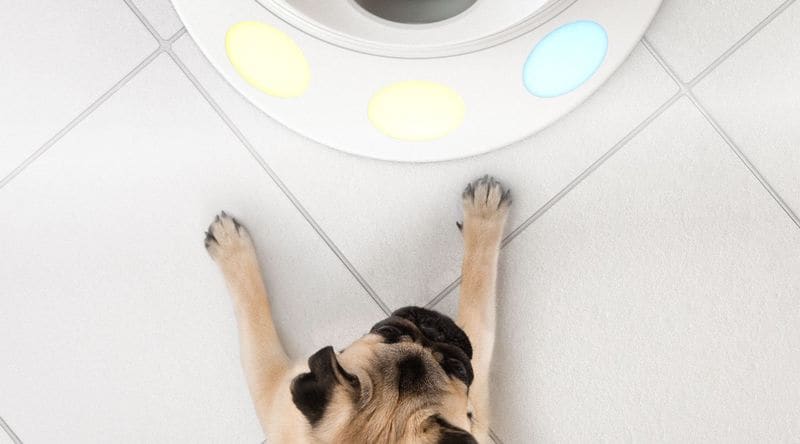 Color-Matching Pet Games