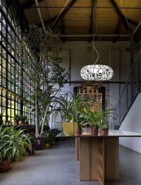 Naturalistic Laser-Cut Lamps Image 7