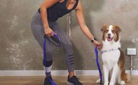 Stress Reduction Canine Leashes Image 3