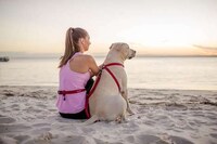 Stress Reduction Canine Leashes Image 4