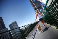 Stress Reduction Canine Leashes Image 5