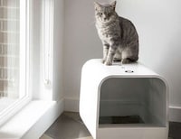 Stylish Litter Box Designs Image 2
