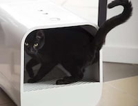 Stylish Litter Box Designs Image 3