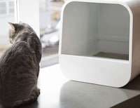 Stylish Litter Box Designs Image 5