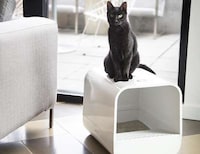 Stylish Litter Box Designs Image 6