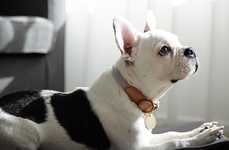 Handmade Rope Canine Collars