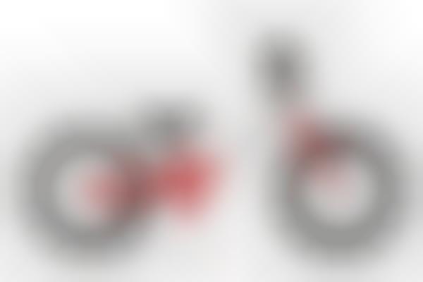 Adaptable Three-Way Bikes