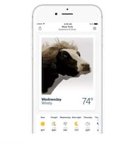 GIF-Paired Weather Apps Image 2