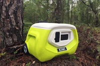 Easily-to-Carry Beach Coolers Image 3