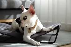 Comfy Canine-Soothing Hammocks