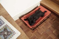 Comfy Canine-Soothing Hammocks Image 4