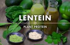 Protein-Rich Lentil Powders