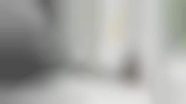 Noise Notification Systems