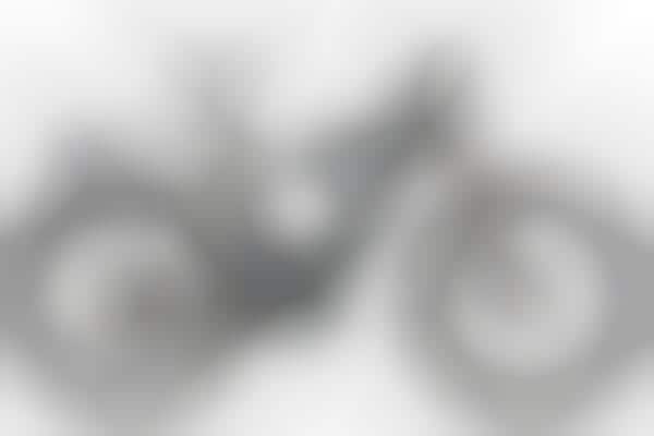 Luxurious E-Bike Lines