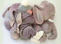 Contoured Animal Infant Pillows Image 4