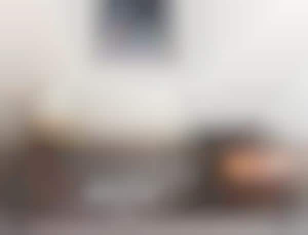Design-Focused Air Purifiers