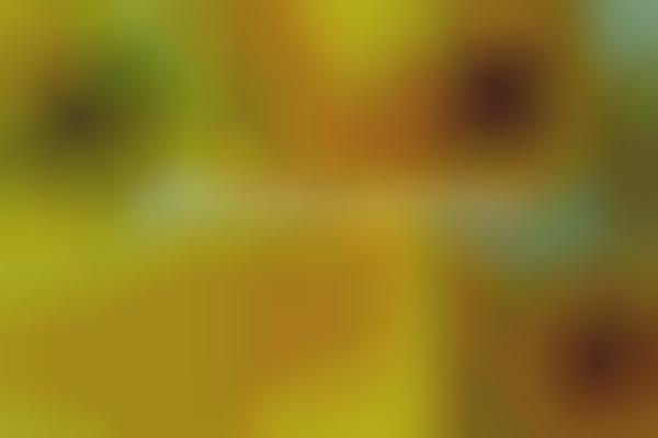 Virtual Painting Exhibitions