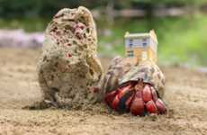 3D-Printed Crab Houses