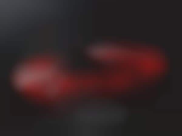 Classic Race Car Tributes