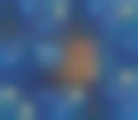 A Student Has Reimagined the Branding for KIND Snacks