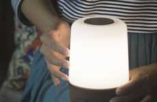 Modern Naturalistic Lamps
