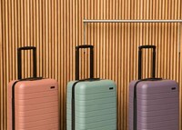 Stockholm-Inspired Luggage Image 2