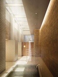 Revived Victorian Interiors Image 8