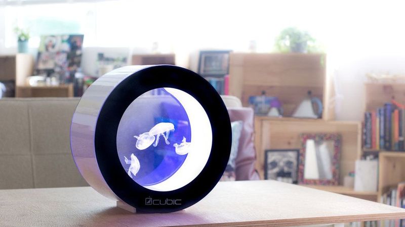 Desk-Friendly Jellyfish Aquariums