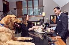 Dog-Friendly Travel Packages