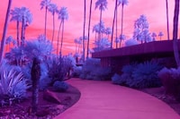 Infrared California Landscape Photography Image 2